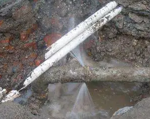 福贡水管维修费用是多少
